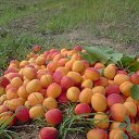 ���� �������, ���������, 45 ��� - ��������� 13 ��� 2015 � ������ ���������