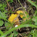 ���� ������, �������, 41 ��� - ��������� 12 ���� 2015 � ������ ����� �����