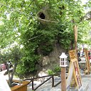 ���� Zurab, �����, 61 ��� - ��������� 27 ������ 2015 � ������ ������ ��������
