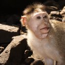 ���� ����, �����, 55 ��� - ��������� 28 ������� 2015 � ������ ���� ����������