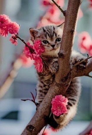 |В| Счастье есть... |В| - 12 августа 2015 в 11:25 - 4