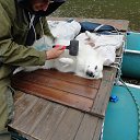 ��������� ����� ����� ���������� :) �� ������� ������ 2015�