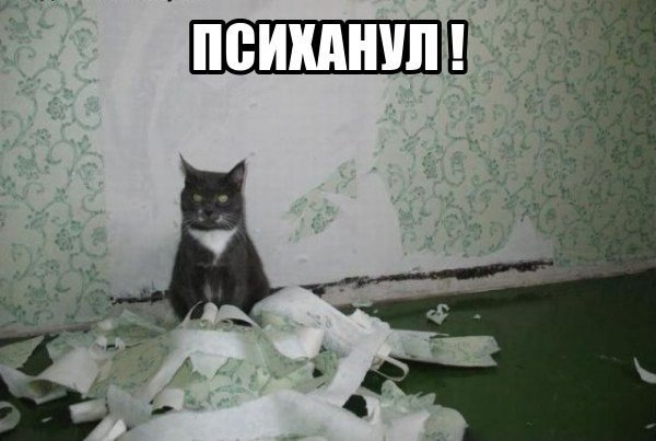 ������������ ���� - 29 ��� 2015 � 21:15