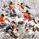 �������!!!!! ����� ����� �������� ��� ������� �������! �� ������� ������ ��������