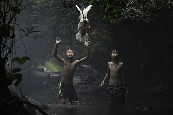    National Geographic      ... - 5