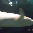 ���� �������, ������ - ��������� 23 ������ 2015 � ������ ���� ����������