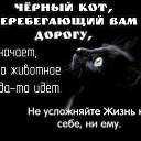 ���� �����, ��������, 46 ��� - ��������� 23 ���� 2015 � ������ ������ ��������