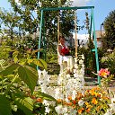 ���� �����, ������� - ��������� 23 �������� 2015 � ������ ���� ����������