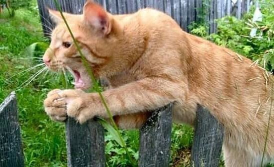 - ---!!!  !    ,    --!!!!