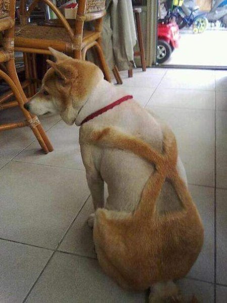   -  - 3