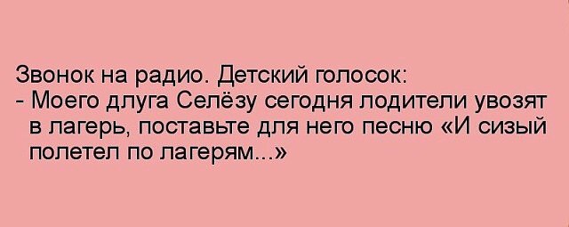 И сизый полетел по лагерям слушать. Анекдот звонок на радио. Звонок на радио прикол. Анекдот звонок на радио поставьте песню. Звонить на радио.