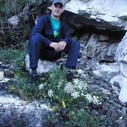 ���� ����, ����, 44 ���� - ��������� 28 ������ 2015