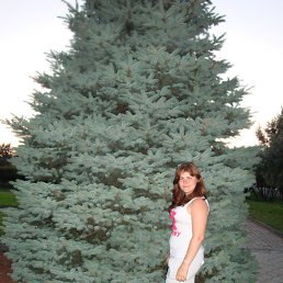 , 28 , 