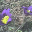 ���� ��������, ������ �������� - ��������� 27 ������ 2015