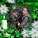  ,  , 46  -  19  2015    