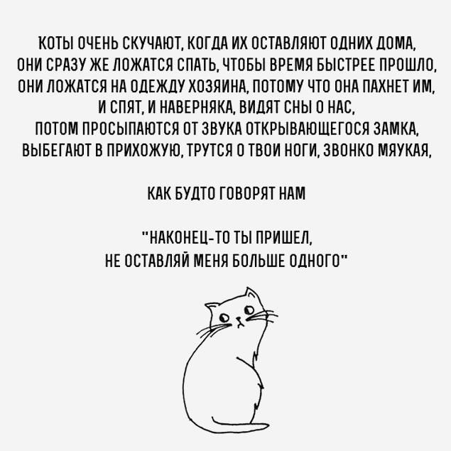       - 21  2015  02:02