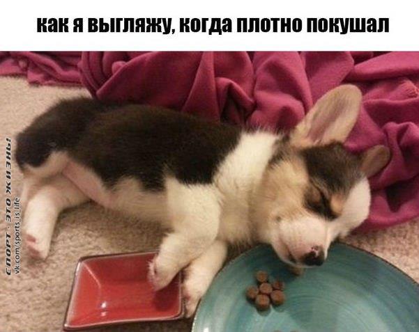  -   - 31  2015  19:44