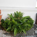  .    .    2014.   .  10-.