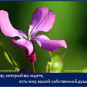 ���� ������, ������, 72 ���� - ��������� 22 ���� 2015 � ������ ����������� �����...�