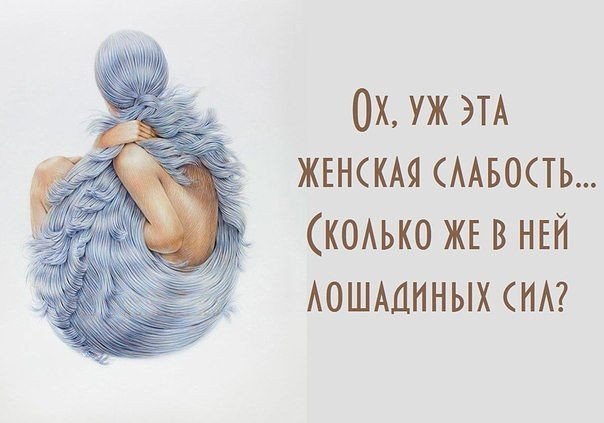   ,  ©  - 29  2015  23:26
