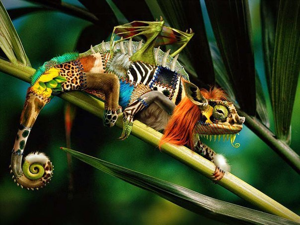 30    .(  ,   )1. https://fotostrana.ru/away?to=/sl/qZh  , ...