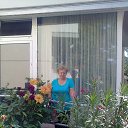 ���� ��������. �� �������!, ����������� - ��������� 6 �������� 2015