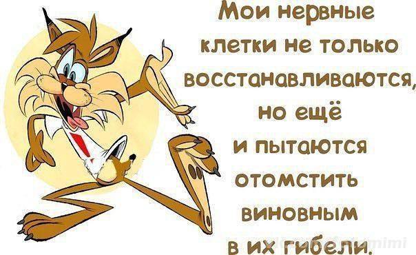   - 3  2015  20:53