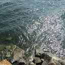 ���� ����, ���������, 56 ��� - ��������� 25 ������� 2015 � ������ ������ ��������