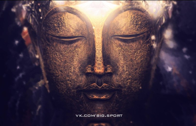 22 ,    .   ,  ,    ,  ...