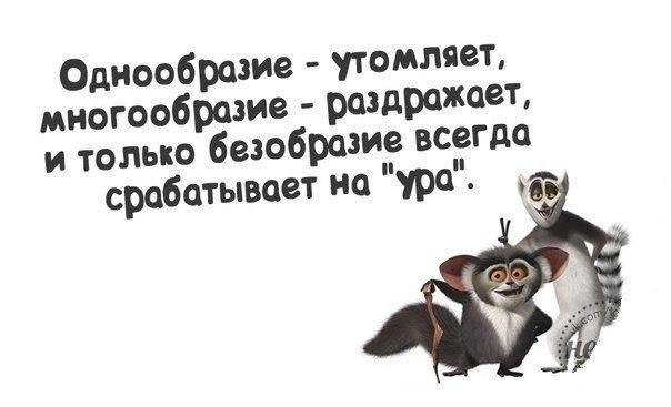 Хочется разнообразия до безобразия или безобразия для разнообразия картинки