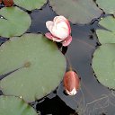  , , 60  -  25  2015     .&quot;&quot;23.05.15.