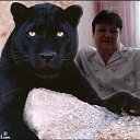 ���� ���� �����, �������, 63 ���� - ��������� 10 �������� 2015 � ������ ���� ����������