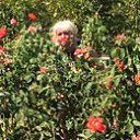 ���� ������, ������, 53 ���� - ��������� 1 �������� 2015 � ������ ���� ����������