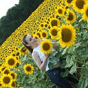 ���� ����, ������, 50 ��� - ��������� 27 ���� 2015 � ������ ���� ����������