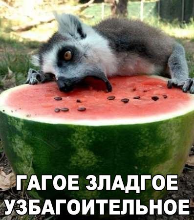 ������ ���� | ��������, �����, ������� - 21 �������� 2015 � 05:01