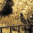 ���� �������� ����������, ������, 46 ��� - ��������� 6 ��� 2015 � ������ ������ ��������