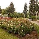 ���� �������, ������ - ��������� 15 ���� 2015 � ������ ������ ������.�