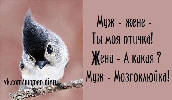   - 20  2015  08:23