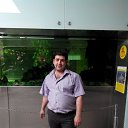 ���� �����, ������, 48 ��� - ��������� 4 ���� 2015 � ������ ���� ����������