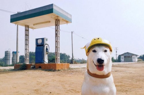 ,    .,          ... - 9