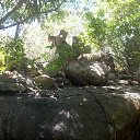    -  ,  -  31  2015   .  2015.  .  6-.