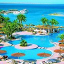  Arm, , 49  -  30  2015    