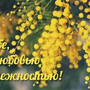 ���� ����, ������, 73 ���� - ��������� 27 ������ 2015 � ������ �������� ��������