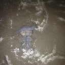 ���� �������, ������ - ��������� 10 ���� 2015 � ������ ���� ���� ������