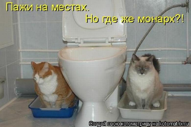    .   : -       ? -   ...