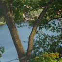  , -, 22  -  12  2015    