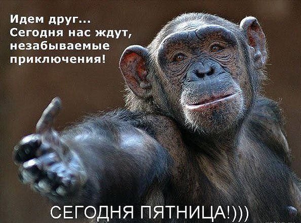  - 7  2015  00:03