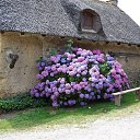 ���� �����, ��� - ��������� 10 ���� 2015 � ������ ������ ��������