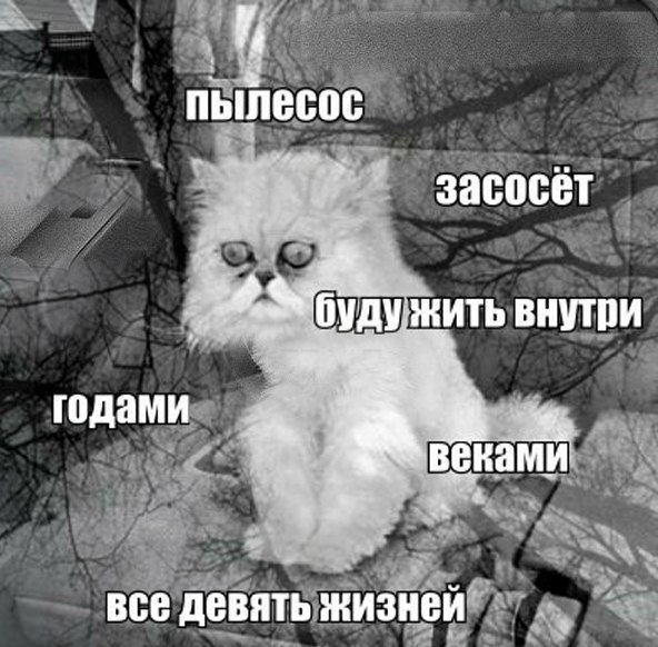 Art & Fun - 19  2015  15:18