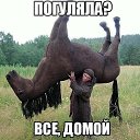 ���� �����, �����, 48 ��� - ��������� 20 ������� 2015 � ������ �11�